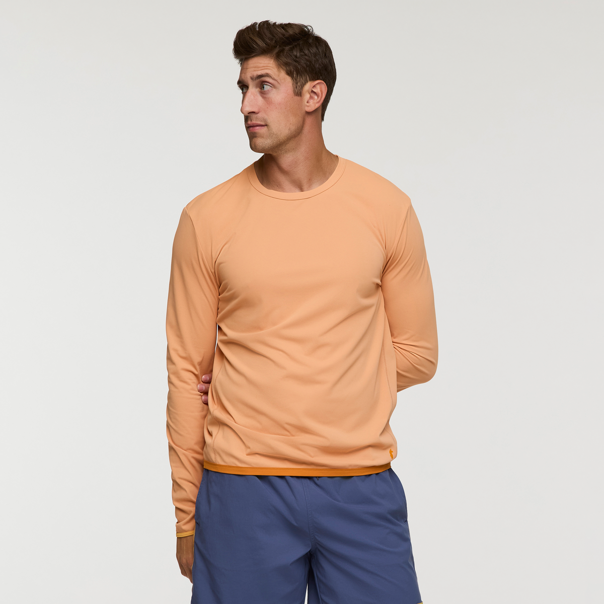 Apricot